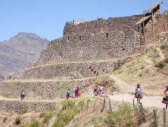 240-175 Inca ruins at Pisac.jpg